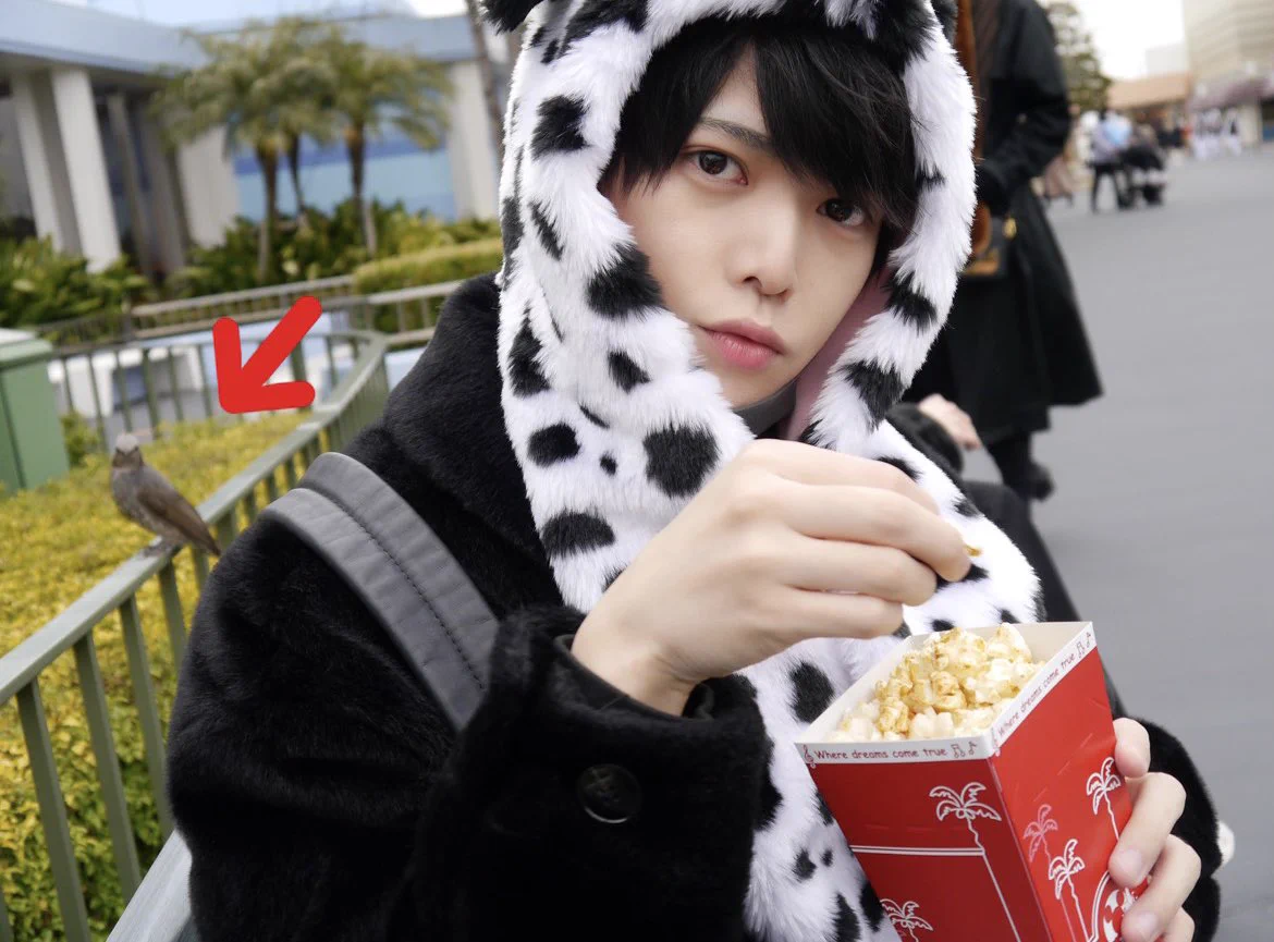 ポップコーンを差し出した瞬間？鳥に強奪されるwww