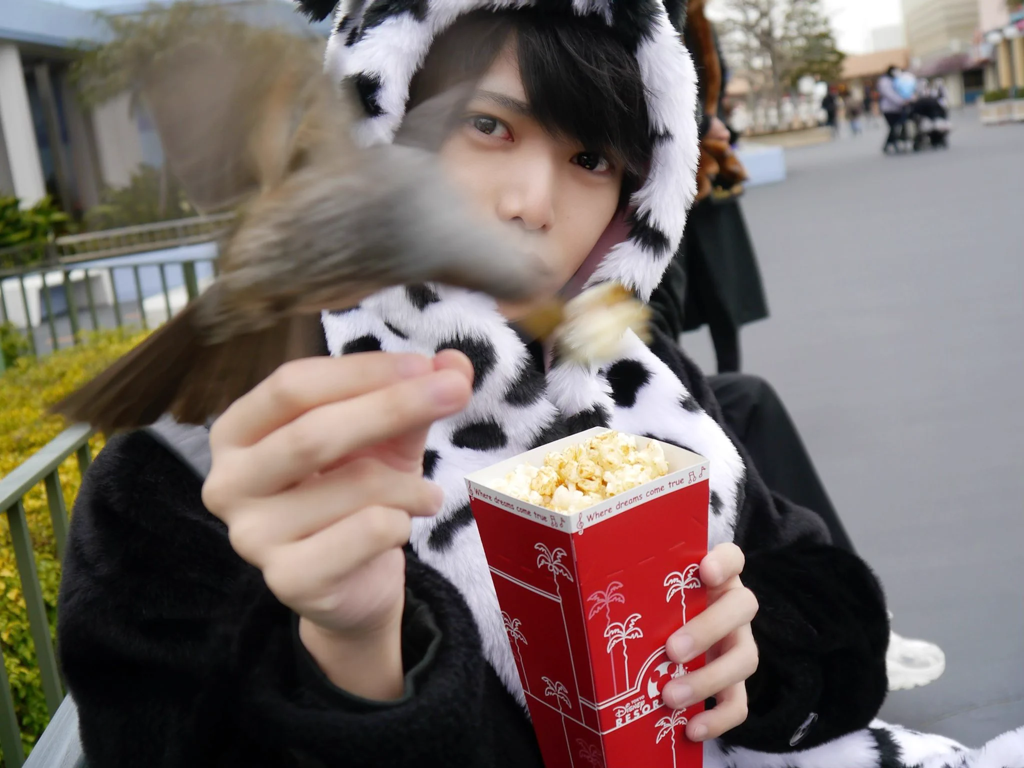 ポップコーンを差し出した瞬間？鳥に強奪されるwww