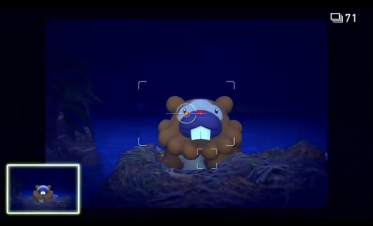 ガラパゴスゾウガﾒ Pokemonday のビッパ Newポケモンスナップ のビッパ ポケモンbdsp のビッパ Pokemonlegends ビッパ 令和の ビッパ 強い