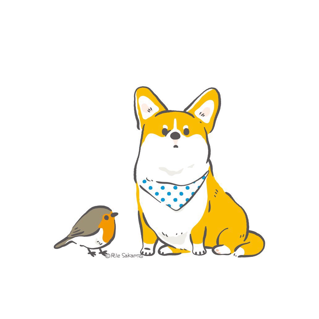 Urauracos の画像 動画一覧 Whotwi グラフィカルtwitter分析