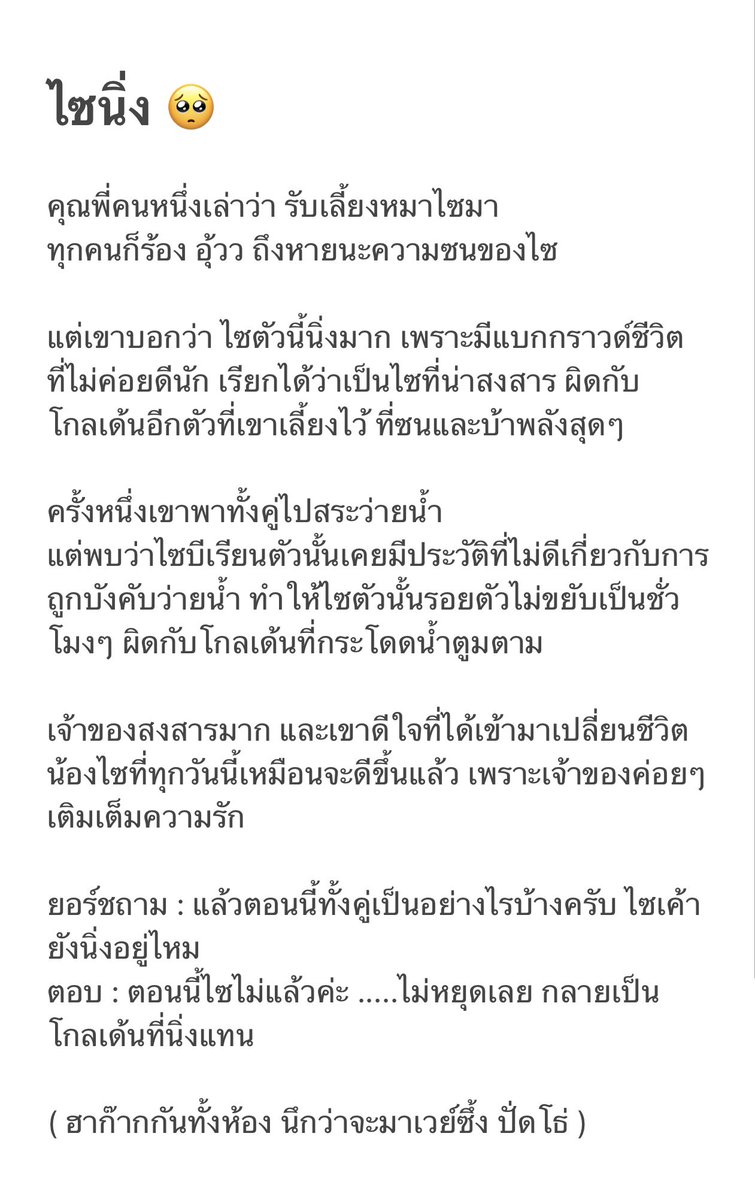 GlutaStory's tweet photo. รวมเรื่องตลกหมาแมว จาก CH เมื่อคืนก่อน จากทางบ้าน อะ เอาไปอ่านเล่น 55 @GlutaStory https://t.co/mpC75ySH7I
