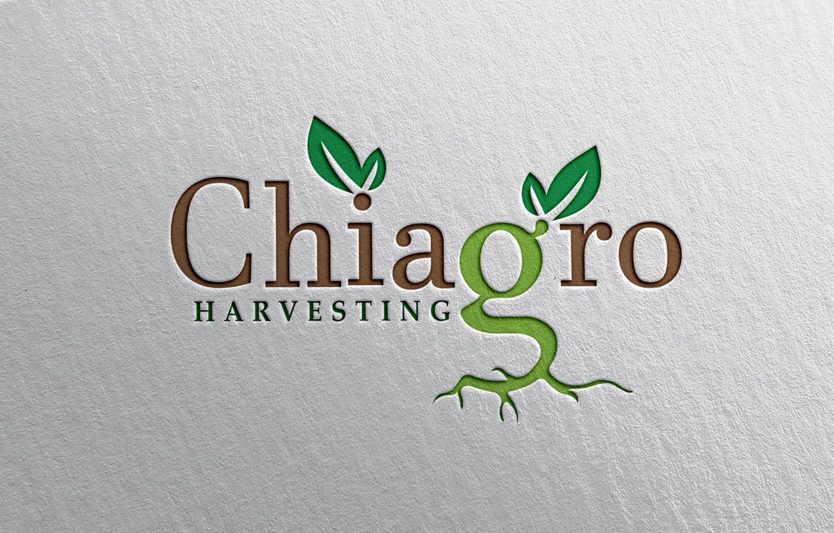 RakibAhameed03's tweet photo. Need a #logo for your business?
Contact Here:-https://t.co/3PPslssxc5
#WeCanHaveSexOr #JISUNG #BidenBombs "Woodrow Wilson" "At My Worst" #KAIxGucci "NHS GP" #WalesvEngland #BIRQPR #WBABRI #fullmoon #Bayern3_racism #resetbelgium #Pokemon25 "West Ham" Trump #justiciaparatomasito https://t.co/NrlKZf6eYA