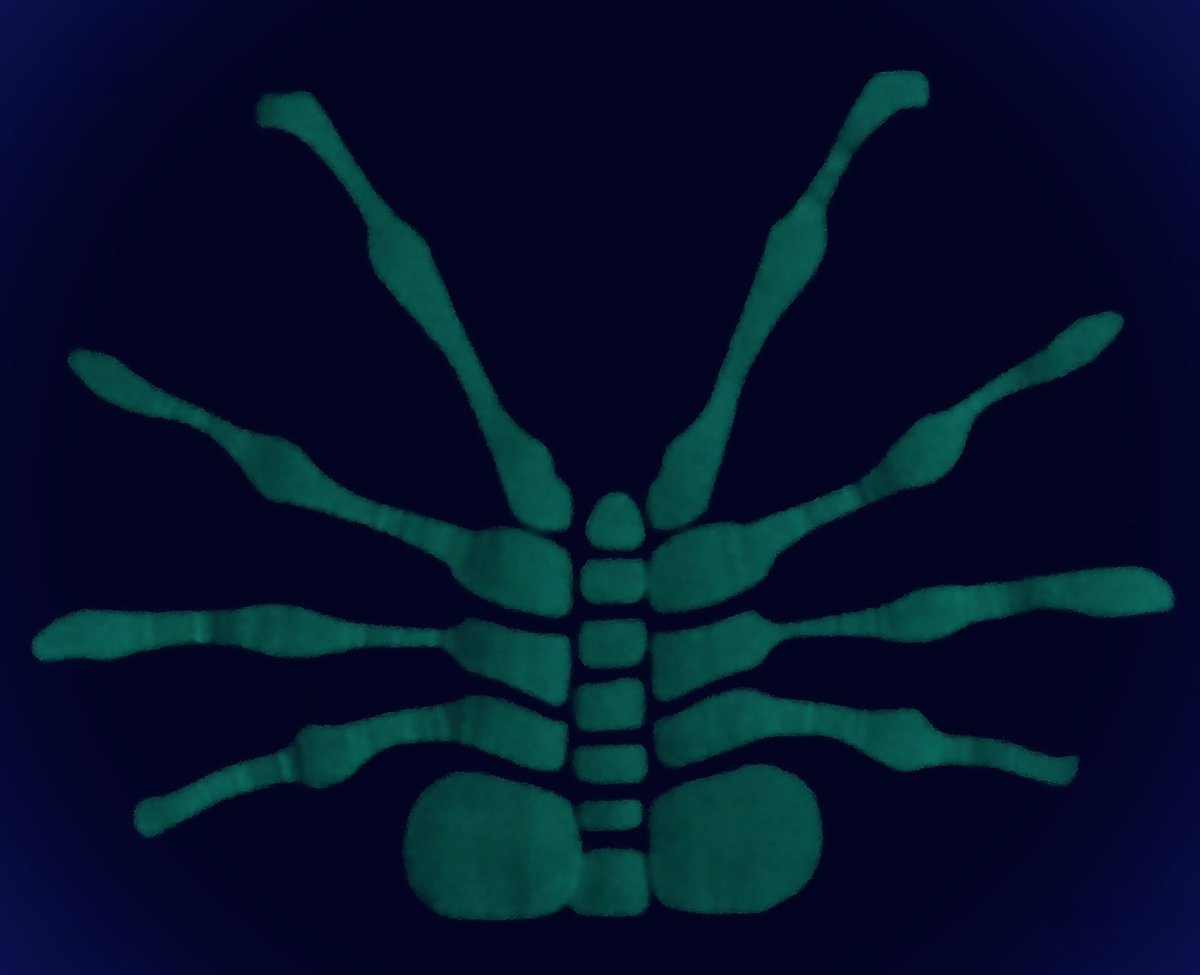 RealCarrieHenn's tweet photo. Come &amp; get them while they last! We’ve got #facehugger #masks, #posters, #callsheets, #books, etc 4 sale &amp; to autograph...these masks are #LimitedEdition (less than 50 made by me, #mostly) $15 AND super comfortable #doublelayer #cotton #glowinthedark #Aliens #NewtLives #COVID19 https://t.co/JXhk6lQupH