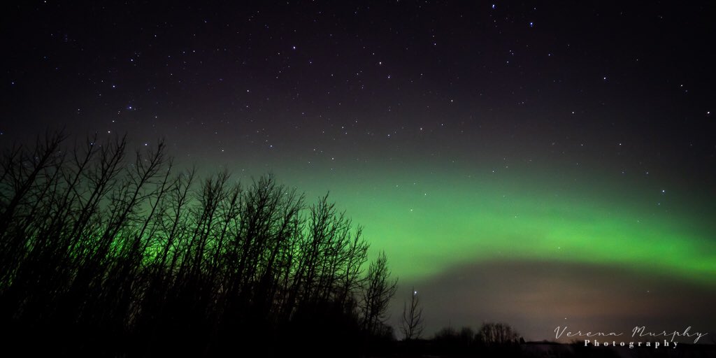 The #AuroraBorealis at midnight 15 Feb 21, north of #Wainwright #Alberta. Thankfully it was “only” -24 C, as the previous two weeks were much colder. #NorthernLights #Canada <a href="/TownWainwright/">Town of Wainwright</a>