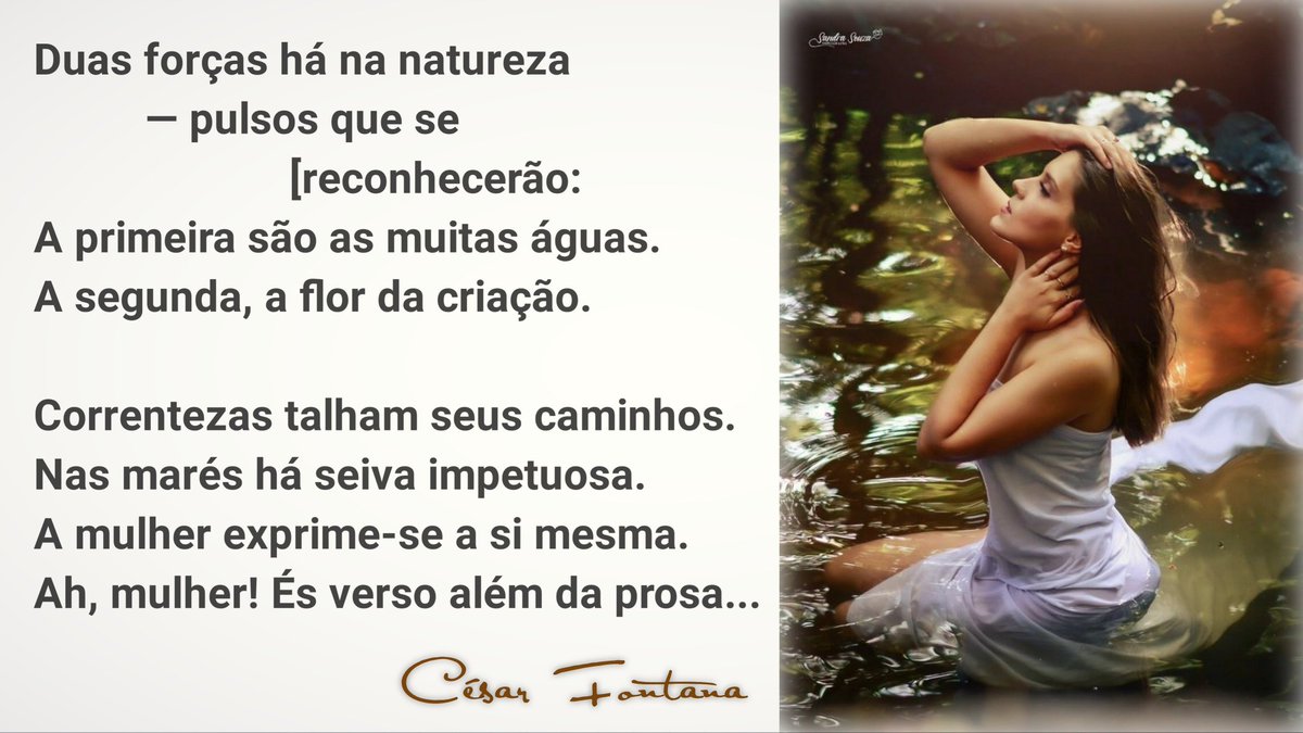 cesarfontana's tweet photo. Duas forças há na natureza
— pulsos que se reconhecerão:
A primeira são as muitas águas.
A segunda, a flor da criação.

Correntezas talham seus caminhos.
Nas marés há seiva impetuosa.
A mulher exprime-se a si mesma.
Ah, mulher! És verso além da prosa...

(César Fontana) https://t.co/ce7nX5tQrT