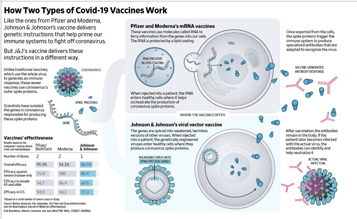 What Is Adenovirus Vaccine Vector | Virals in Thai