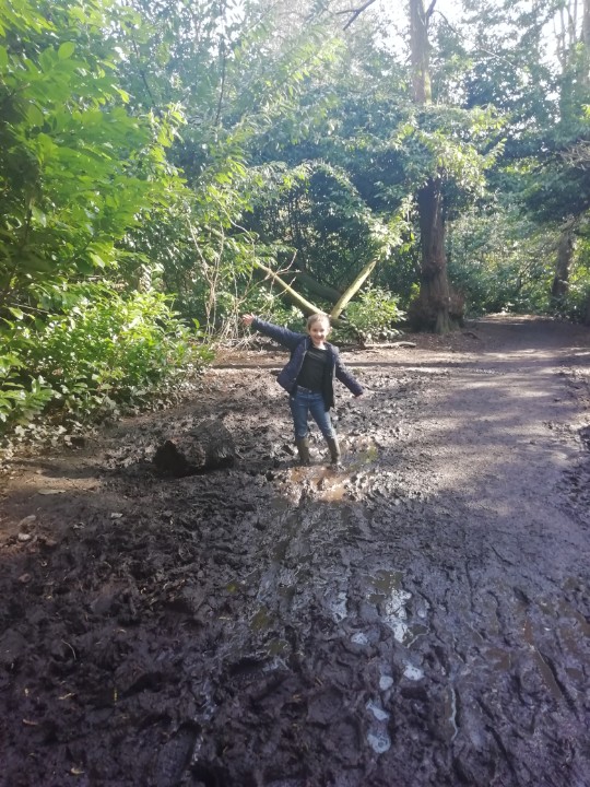 SheepyPrice's tweet photo. Loving the mud on a sunny day! #GOMakeTheMostOfIt https://t.co/3iSu8oc964