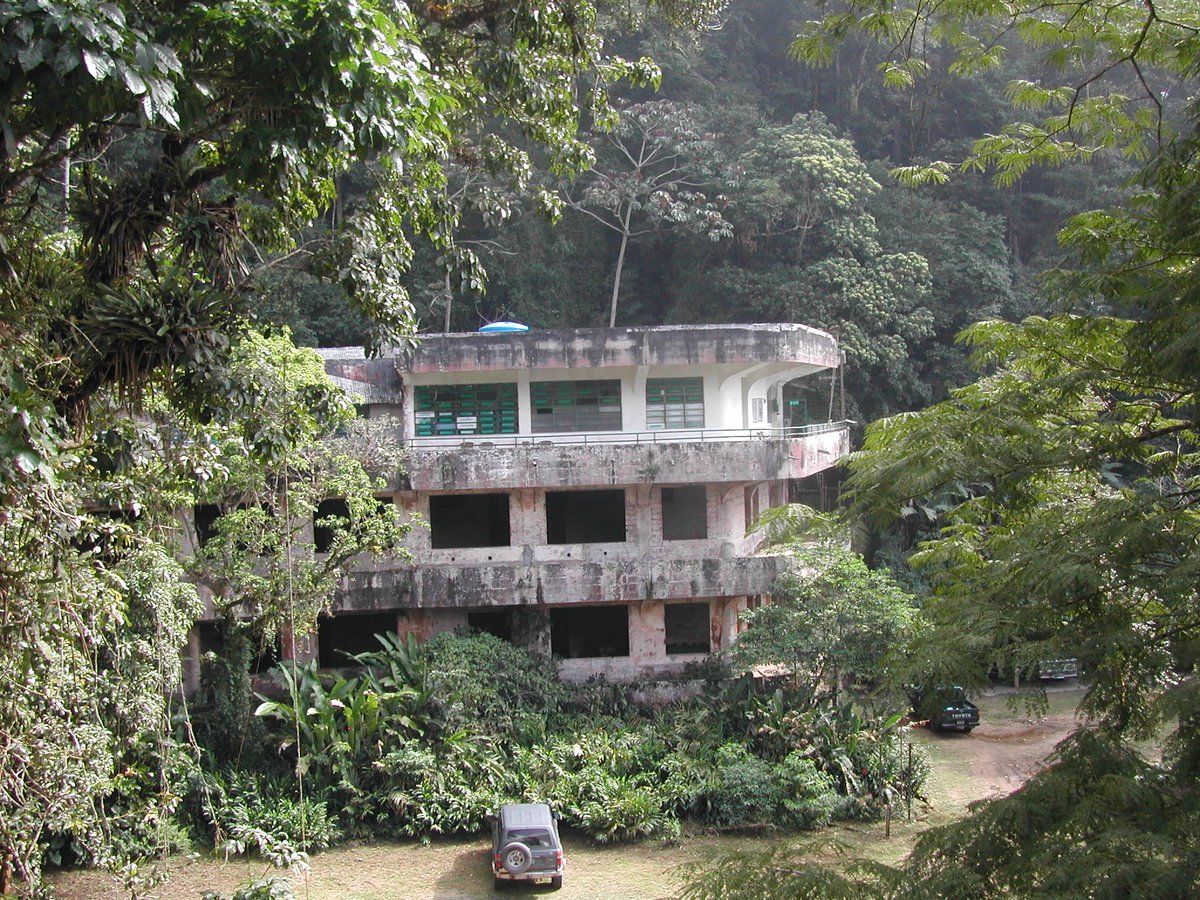 gm_kirwan's tweet photo. High Jungle. Estación Biológica de Rancho Grande, PN Henri Pittier, Venezuela. Where William Beebe, Jocelyn Crane, William Vogt, and others, set up shop in 1945, 1946 and 1948, producing a ream of scientific papers, and a wonderful book to inspire a legion of tropical biologists. https://t.co/wqNrAHoEnT