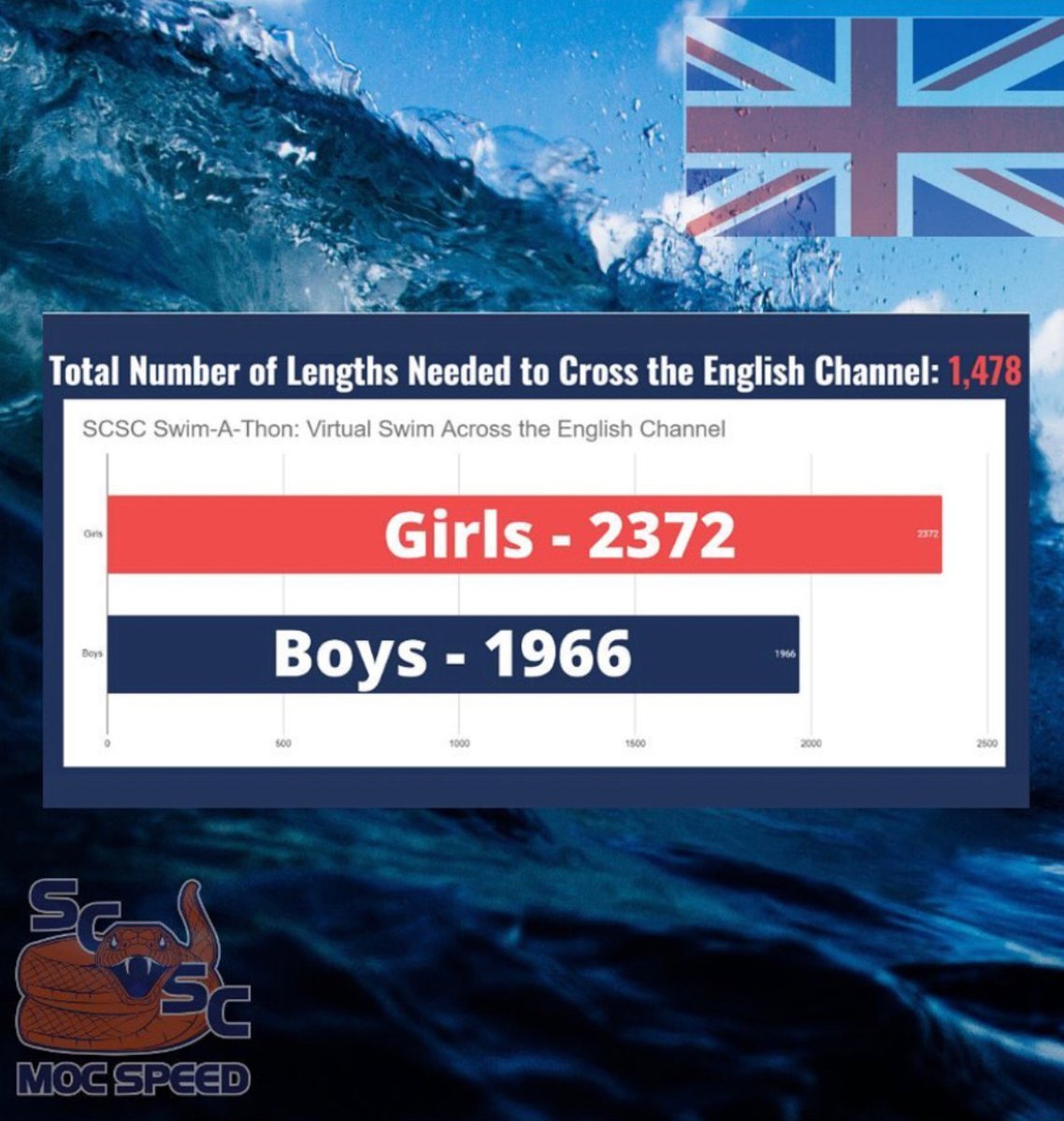 SC Swim Club tweet media