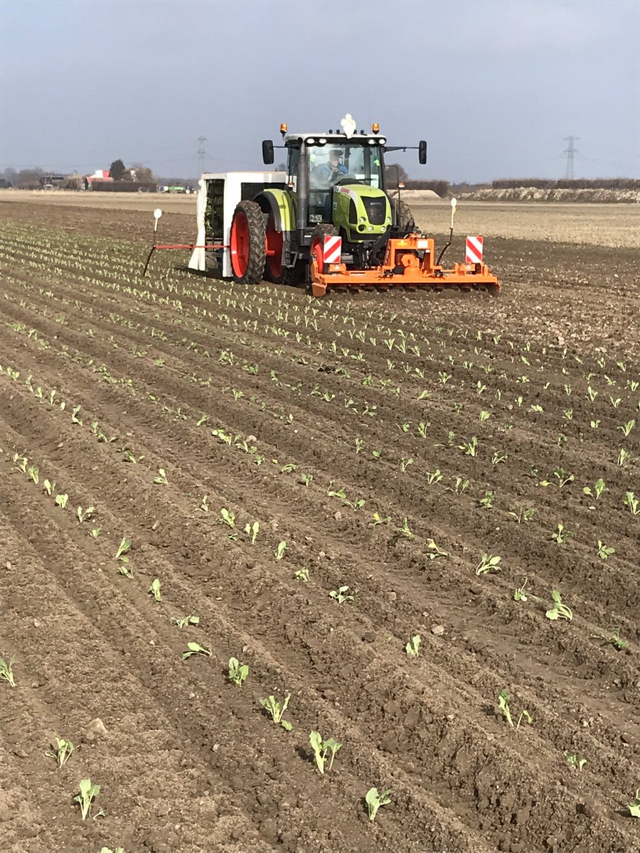 Huijserbloemkool🚜🚜 tweet media