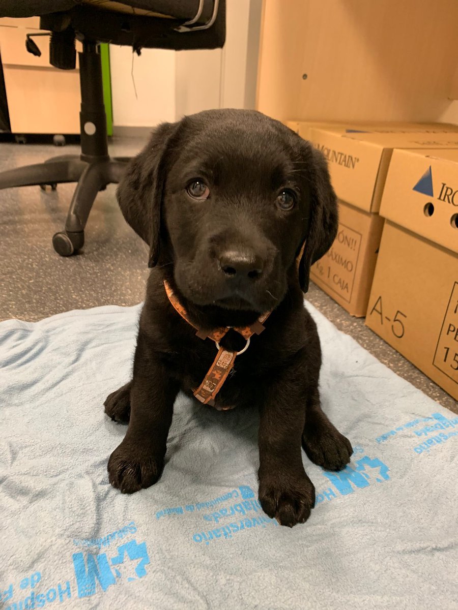 María Marín Vila tweet media