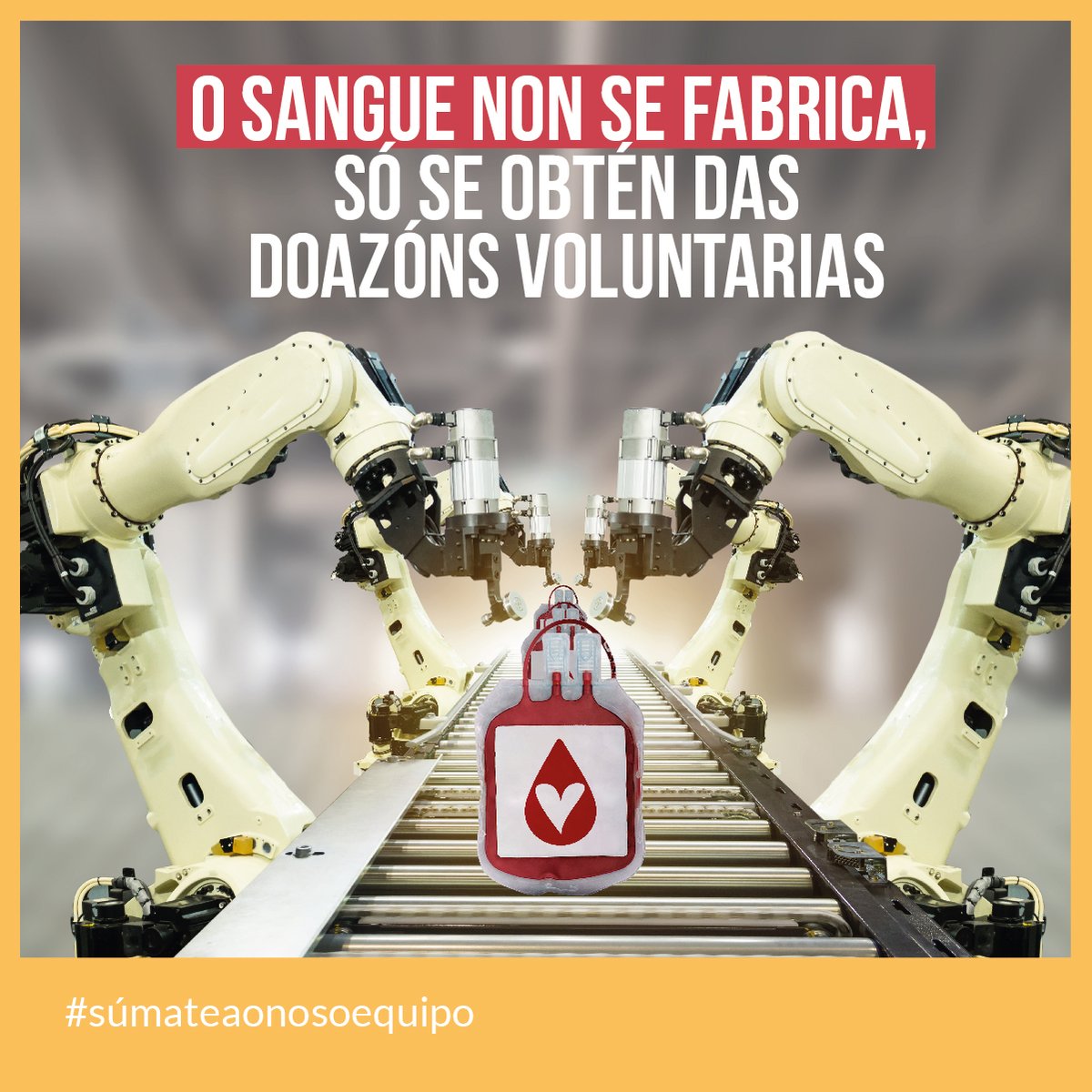 🙏 O sangue é un elemento que non se pode fabricar. E en Galicia precisamos cada día entre 400 e 500 doazóns para garantir a atención a todos os doentes e accidentados. A túa doazón é importante.
📞 900 100 828
#ÚnenosOSangue #súmateaonosoequipo