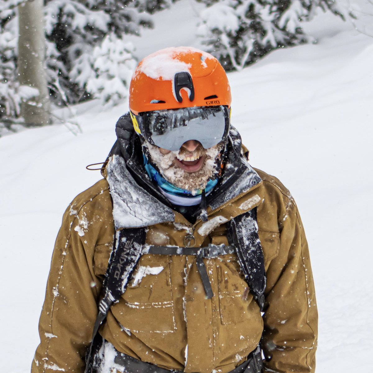 skithebeav's tweet photo. Time to show off your #POWface! We’ve got 12” of cold blower Utah Powda in the past 24 hours, with 5 of those inches falling since the lifts closed yesterday, still snowing at 6am! Logan canyon is plowed and sanded. 90% chance 1-3” more today, high temp of 18 degrees. https://t.co/1IlsUd5Bu5