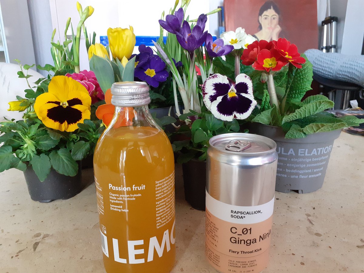 Heerlijke vegan pâtisserie &amp; gebak van @epicurieus &amp; heerlijk belegde bagel gehaald @quenchdrink aan de Weimarstraat in Den Haag. Nog heel veel lekkers vandaag @quenchdrinksofficial . 🤗😋