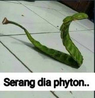 ⚜️ Gelgar Zacharias (@menggelgar) on Twitter photo 