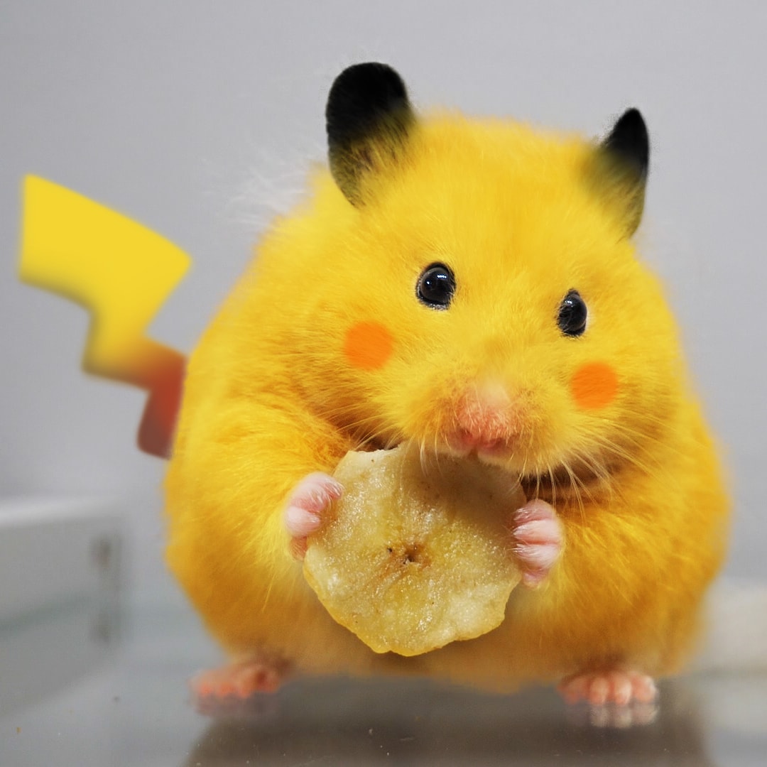 KumaQQ on Twitter: KumaQQ on Twitter: