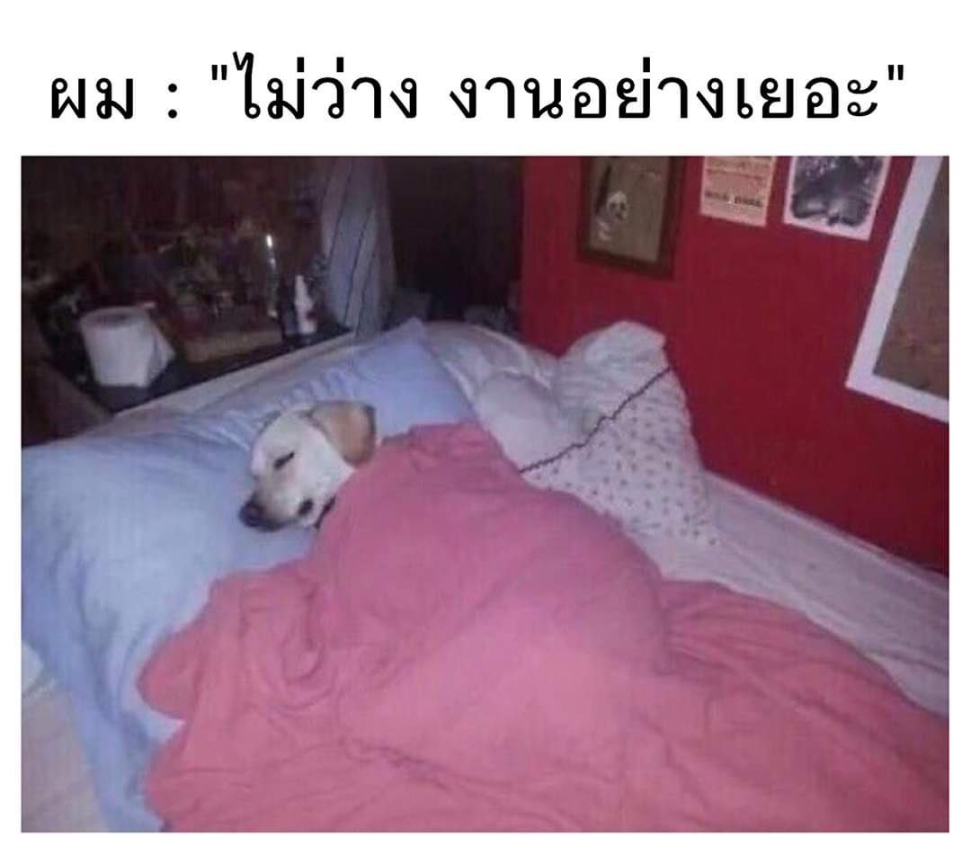 j (@jeffrey14x) on Twitter photo 