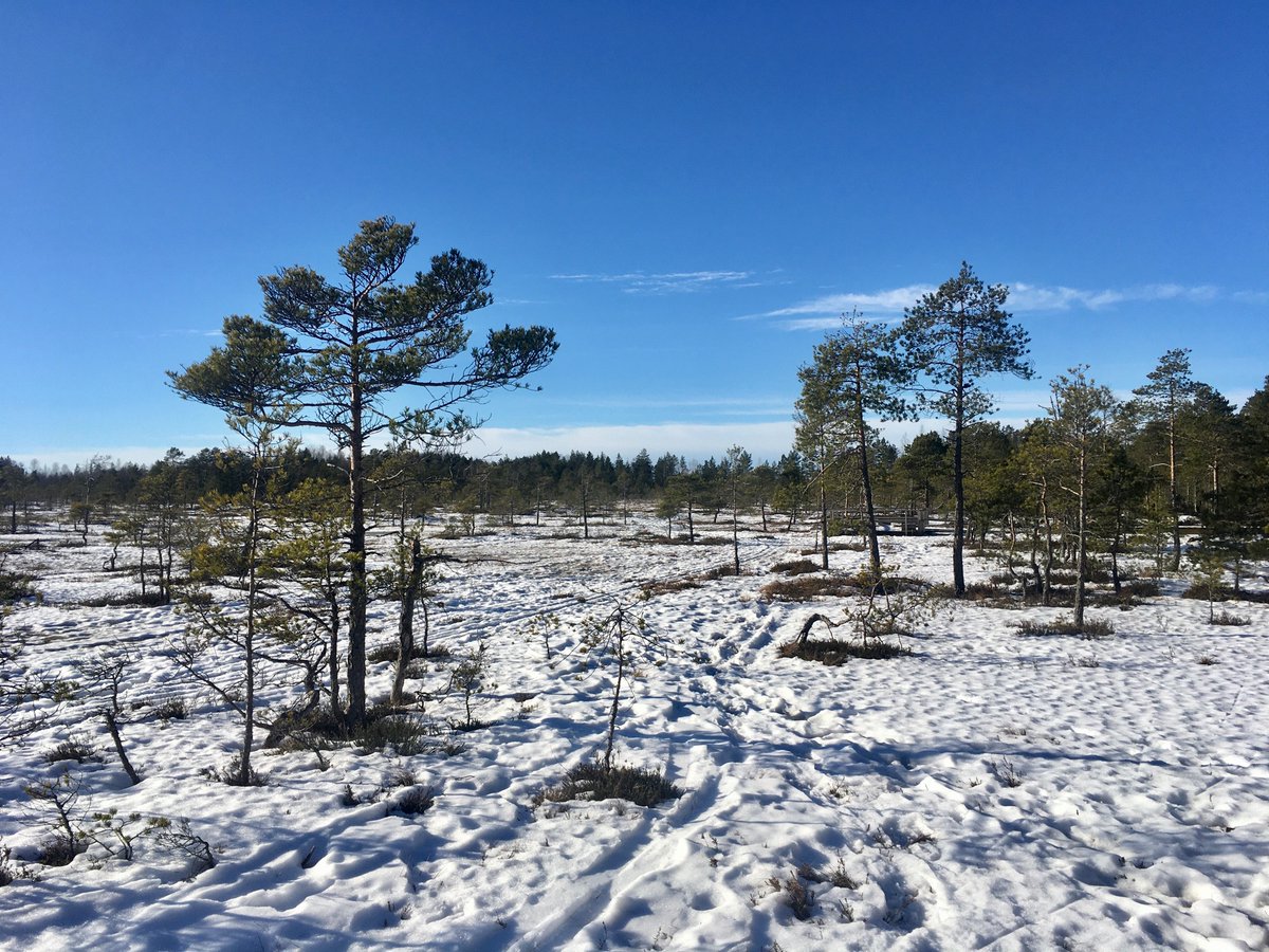 Lapland. Soon some karaoke in after ski: “Daa dirlan dirlan daa . . .”

Not really. Simple forest walk 1 hour from #Helsinki. https://t.co/WHJ7s3acPZ