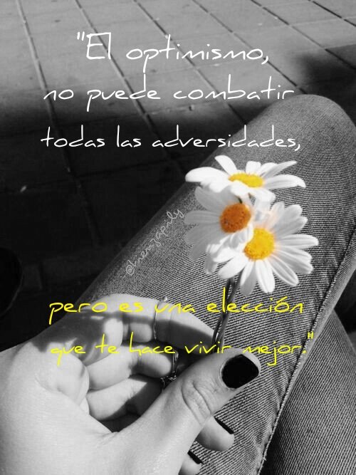 Buenas tardes a todo el mundo 🙂🐶🌍