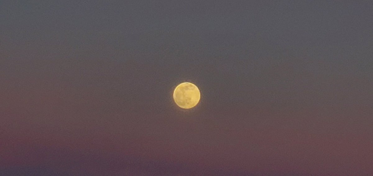 DebDeb0223's tweet photo. @weathernetwork Moon at sunset over Lake Scugog, Ontario https://t.co/a9dPpMZKrO