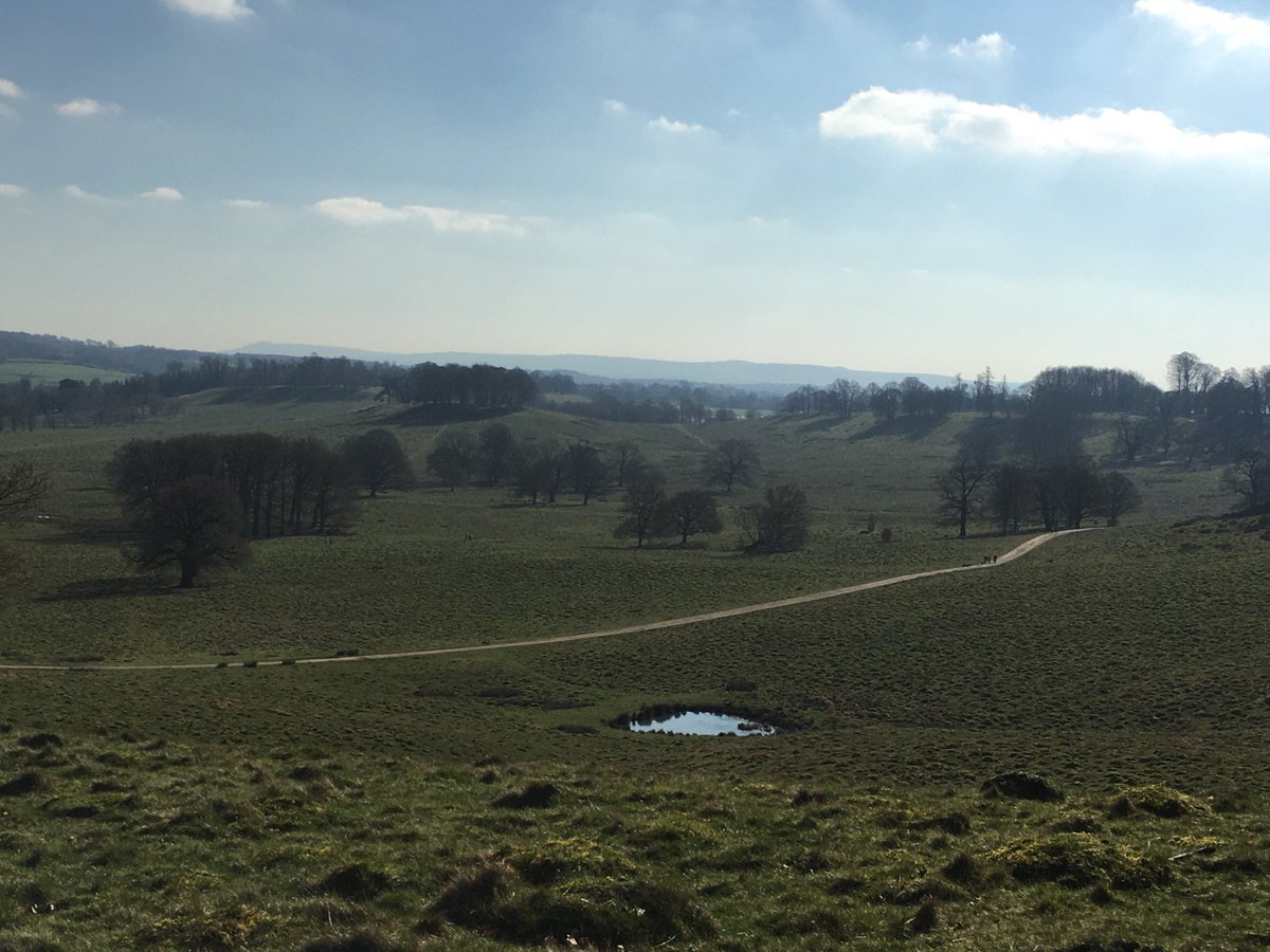 Beautiful walk this morning from #Haslemere to #Petworth. Headed east on the #SerpentTrail, Jay’s Lane, Gospel Green, Fisherstreet &amp; Shillinglee Park. Then south via Freehold Farm &amp; Ebernoe. ⁦<a href="/sdnpa/">South Downs National Park</a>⁩ ⁦@SouthDownsSoc⁩ ⁦<a href="/southeastNT/">National Trust South East</a>⁩ ⁦<a href="/PetworthNT/">Petworth House & Park</a>⁩ #Sussex