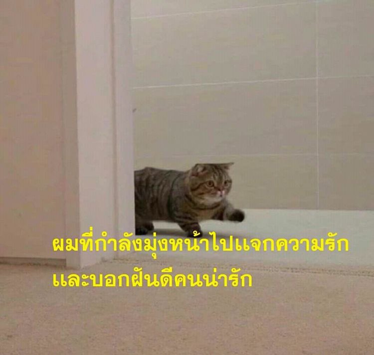 M⃠ tweet media