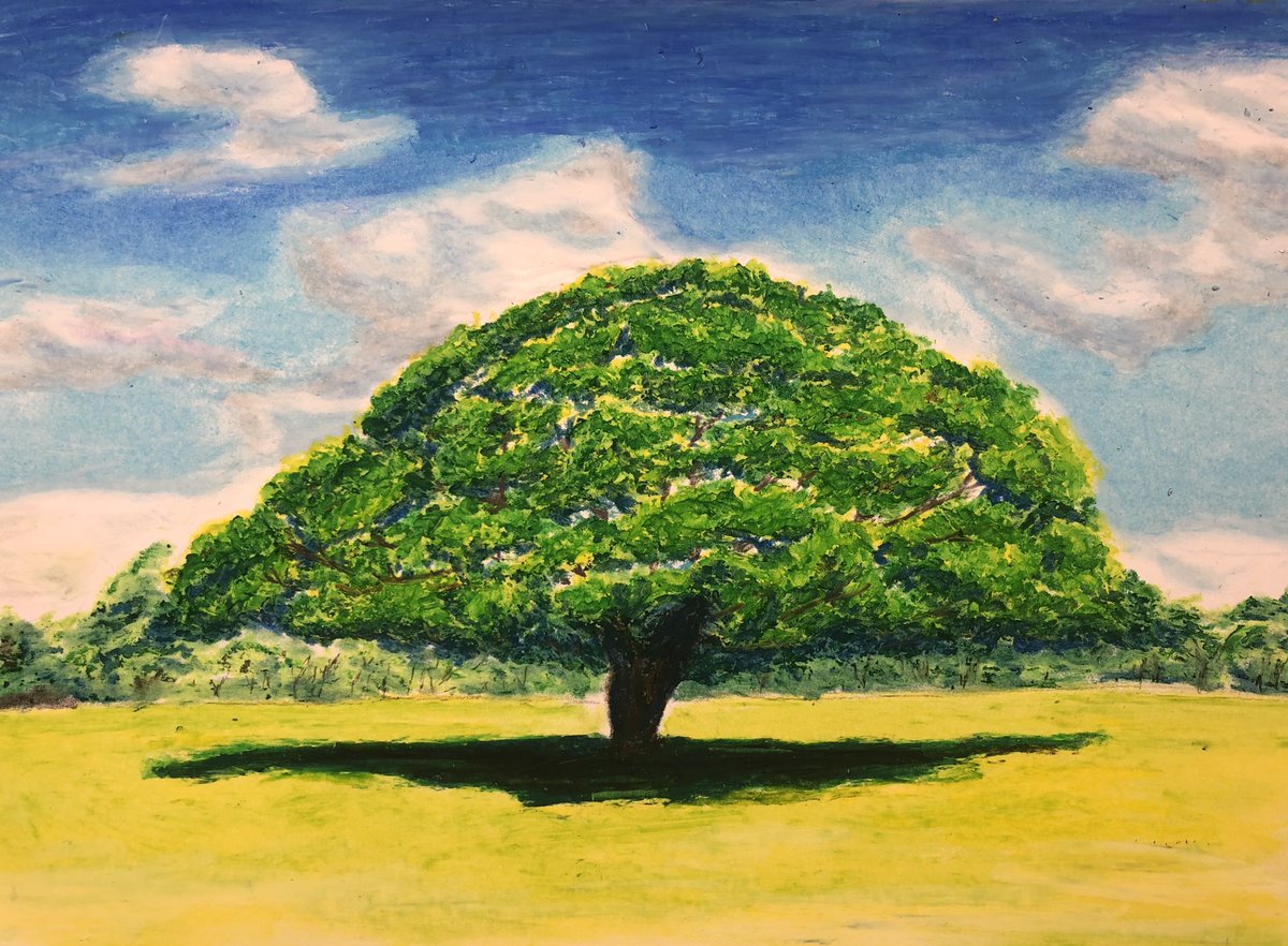 برچسب モンキーポッド در توییتر