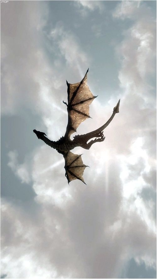 cl0udnine__'s tweet photo. ha detto che stava cercando parcheggio 🐲 https://t.co/IAxOJpqMzW