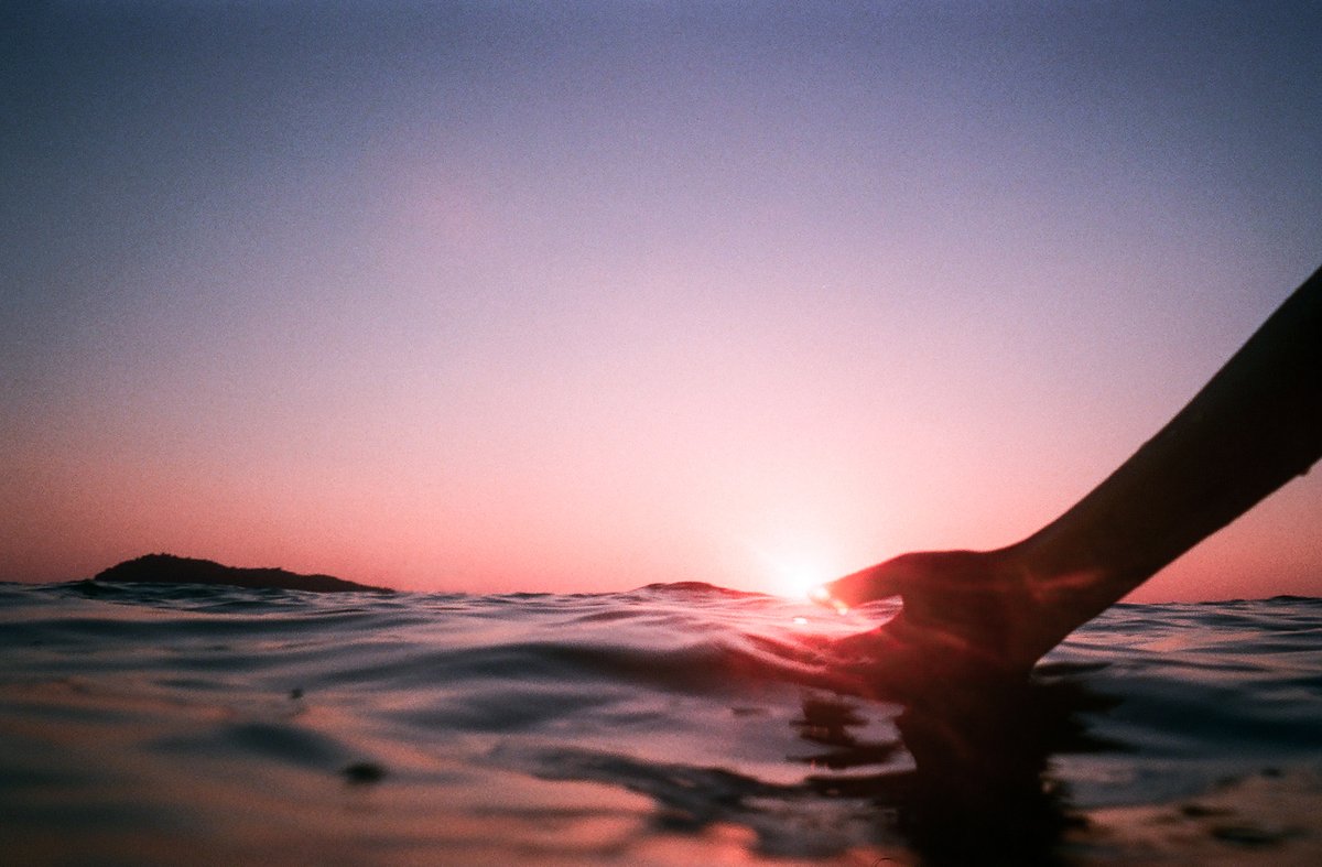 haydclay's tweet photo. Taken with a $10 disposable camera https://t.co/lqu26QdIZU