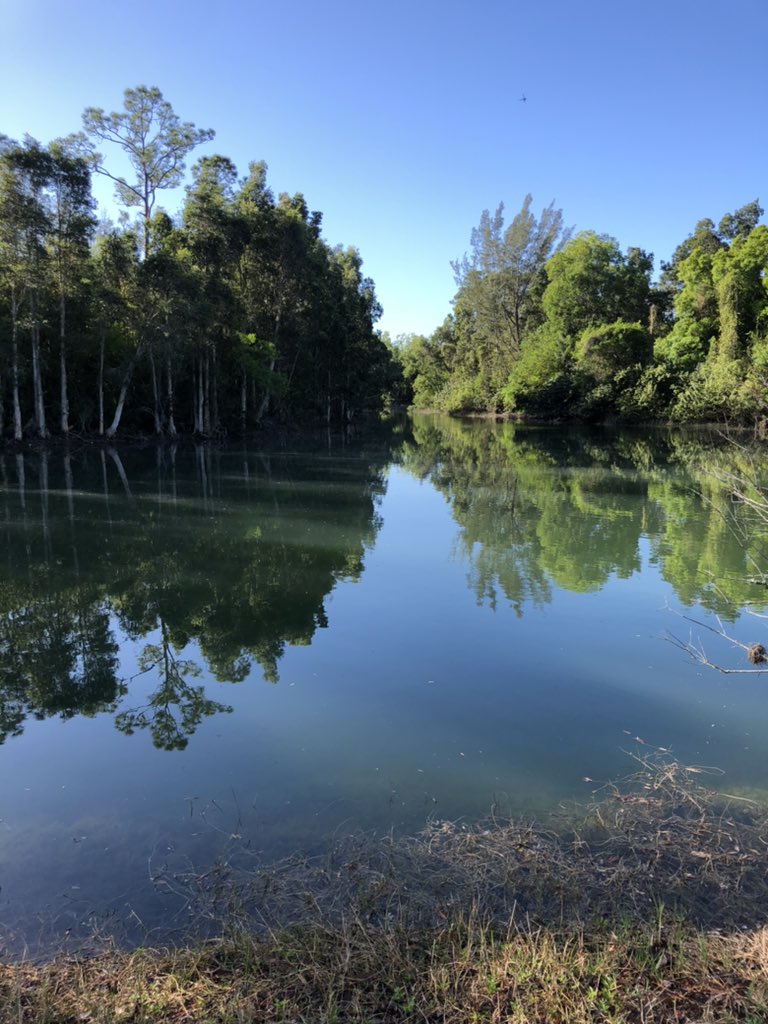 PrenticeDrK's tweet photo. Found this on my run this morning. COVID stress, work stress, dating stress, whatever—there is still so much beauty. I might have to go watch Love Actually again after this epiphany...#momlife #runner #Gatornation #runchat https://t.co/bQG0LmeuB9