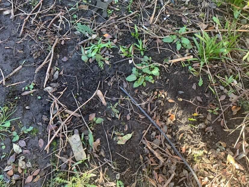 sentienmusicuk's tweet photo. @virginmedia Can someone please contact me and get the outdoor cable box replaced / fixed ASAP. Current customer on a new deal. https://t.co/G0KuNfCLw0