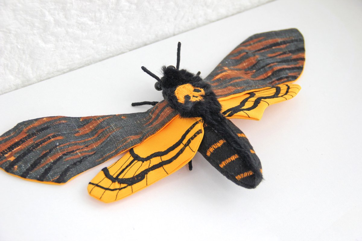 Daryina_art's tweet photo. Excited to share the latest addition to my #etsy shop: Deadhead moth. gifts for woman, moth toy, insect art, butterfly art, faux taxidermy https://t.co/XXC7W3BmAE #black #birthday #halloween #orange #animalbrooch #insectlovergift #needlefelted #handmadebrooch #prettybr https://t.co/qTbAuELKNR