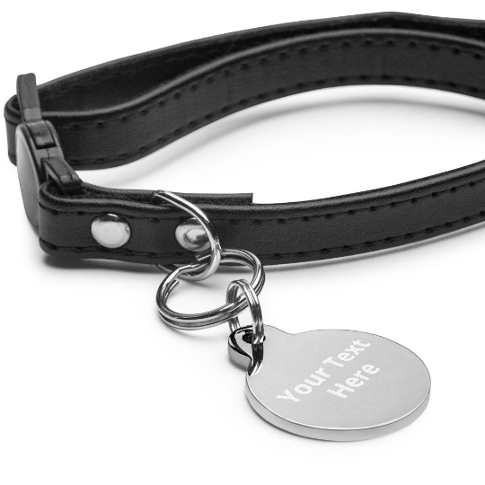 ShopNottm's tweet photo. Make sure your pets always find their way back to you and get this custom-made pet tag. https://t.co/MJ0n6b8tsl #petid #pettag #dogtag #cattag https://t.co/nJM6c1JCtR
