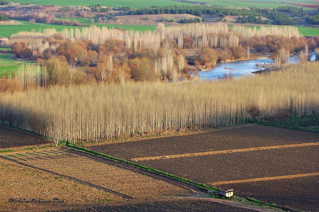 masumsuer's tweet photo. Hevsel Bahçeleri, Diyarbakır, 15/02/2021 #Diyarbakir #diyarbakır #tigiris #dicle #photo #photography #Reflection #reflections #hevsel #nature #landscape https://t.co/PhJ61aMalr