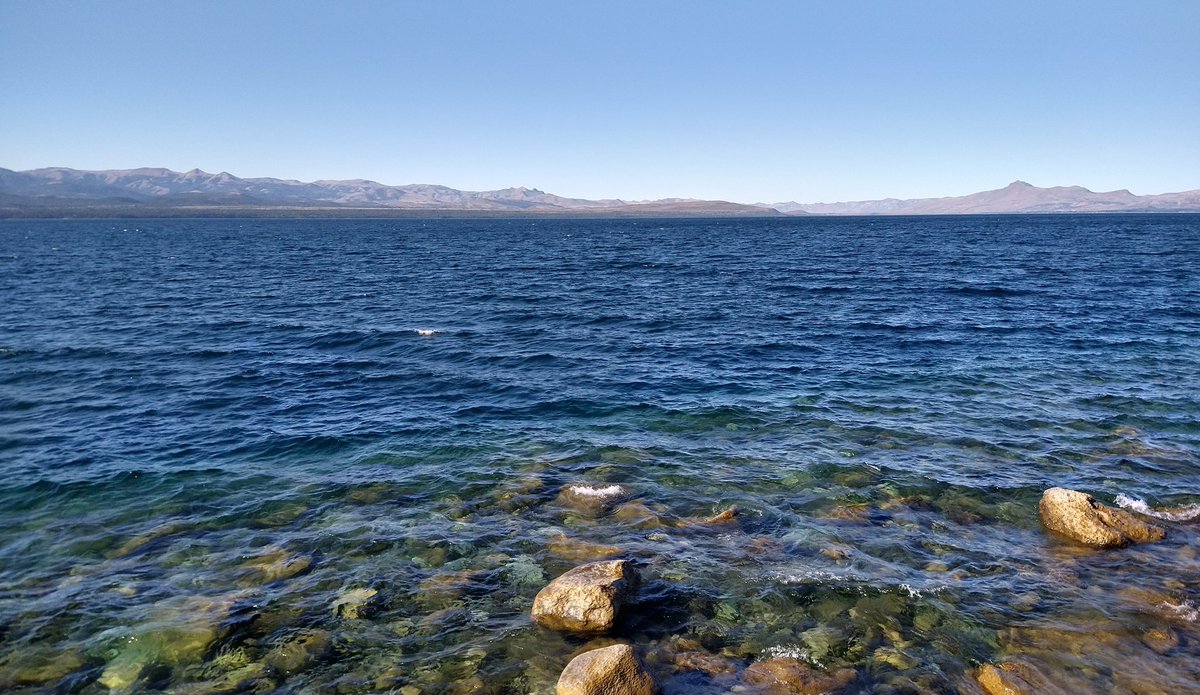 FlorFinessi's tweet photo. @neuquentur @MarisaFocarazzo @minturismo @ParquesOficial @PNLaninOficial @visitargentina @TripinArgentina @soymariche @RespiraArg @patagoniandina @ProbaPatagonia Cuatro hermosos destinos🏔️🏞️😍
#ParqueNacionalArrayanes 
#ParqueNacionalLagunaBlanca
#ParqueNacionalLanín
#ParqueNacionalNahuelHuapi https://t.co/wDoDK4HWvK