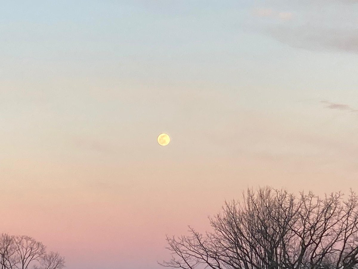 February's full moon tonight has a connection to animals. The Cree traditionally called this the Eagle Moon. The Ojibwe and Tlingit, Bear Moon, which refers to the time when cubs are born. Some Algonquin peoples named it the Groundhog Moon, and the Haida named it Goose Moon.