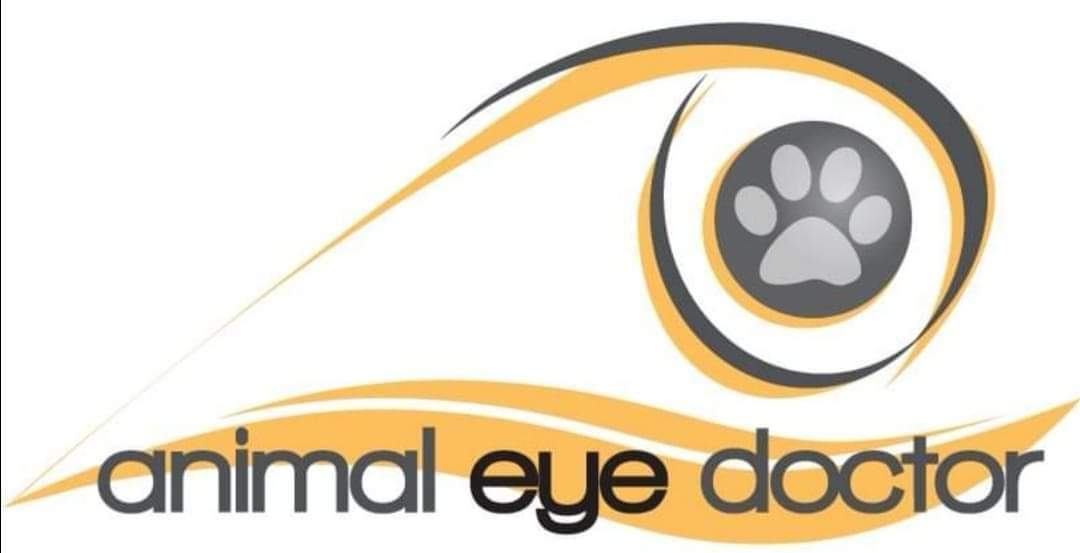 Fenaghy Vets on Twitter: Fenaghy Vets on Twitter: