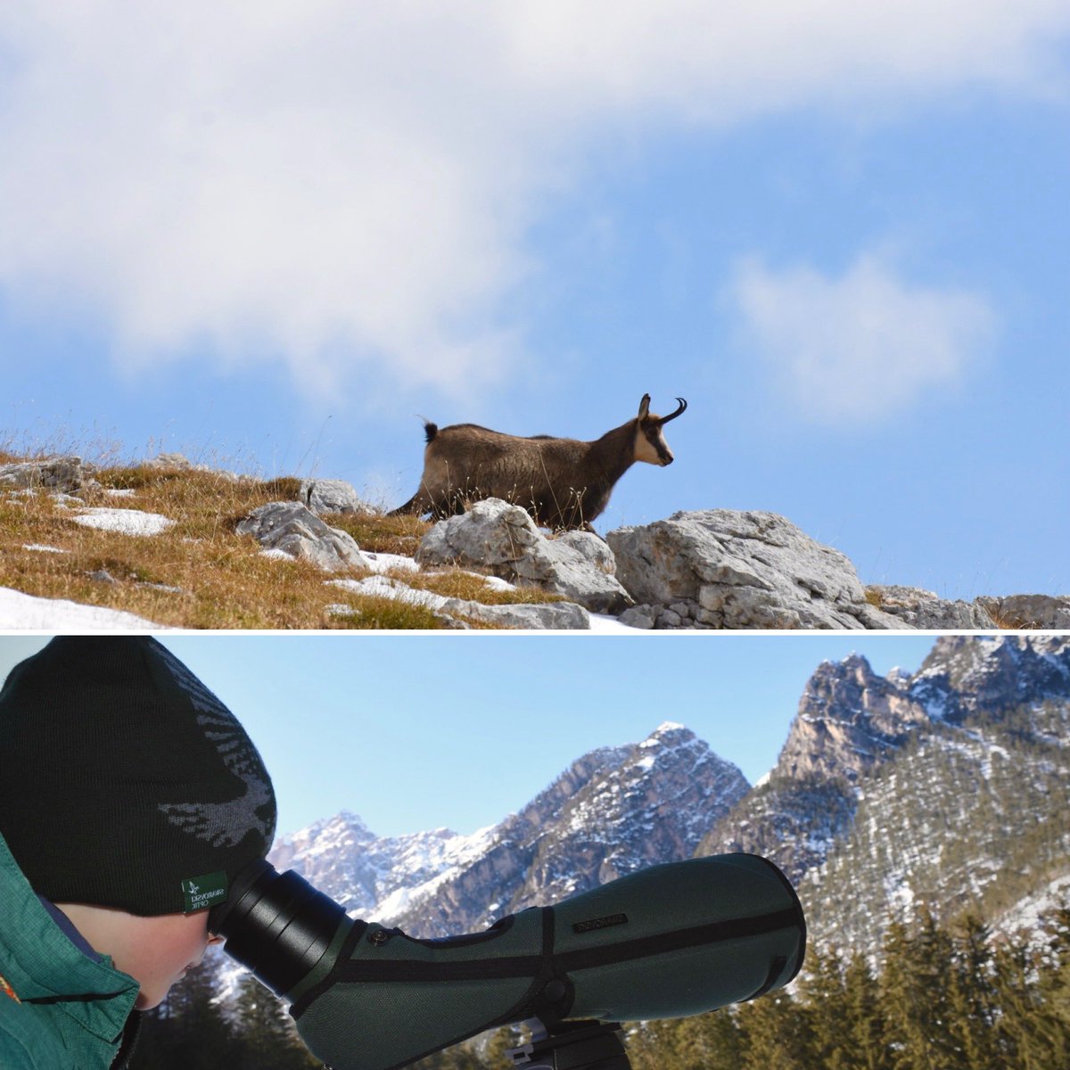 Wildlife passion for the youngest...
#wildlifewatching #dolomiteskids #youngnaturalists 

#seetheunseen

Natural Park Fanes-Senes-Braies

Experience.Nature
© David Vallazza

#naturalparkfanessennesbraies #dolomitesunesco #swarowskioptik