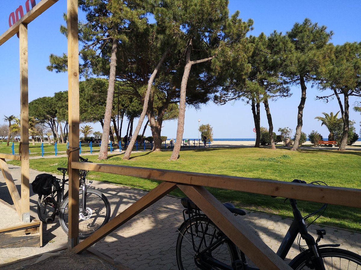 Letoulouzingue's tweet image. Dernière sortie au soleil avant le grand bain microbiologique sous surveillance   r̶e̶c̶t̶a̶l̶e̶ rectorale renforcée de la #zoneB.