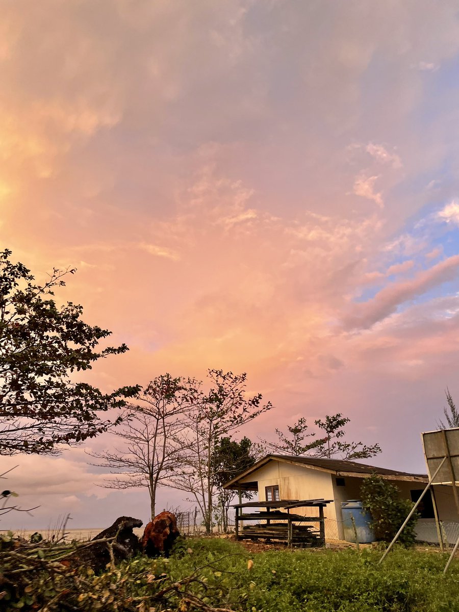 Sherraaa_'s tweet photo. Lundu, Sarawak 💜 https://t.co/TTKRzoV94M