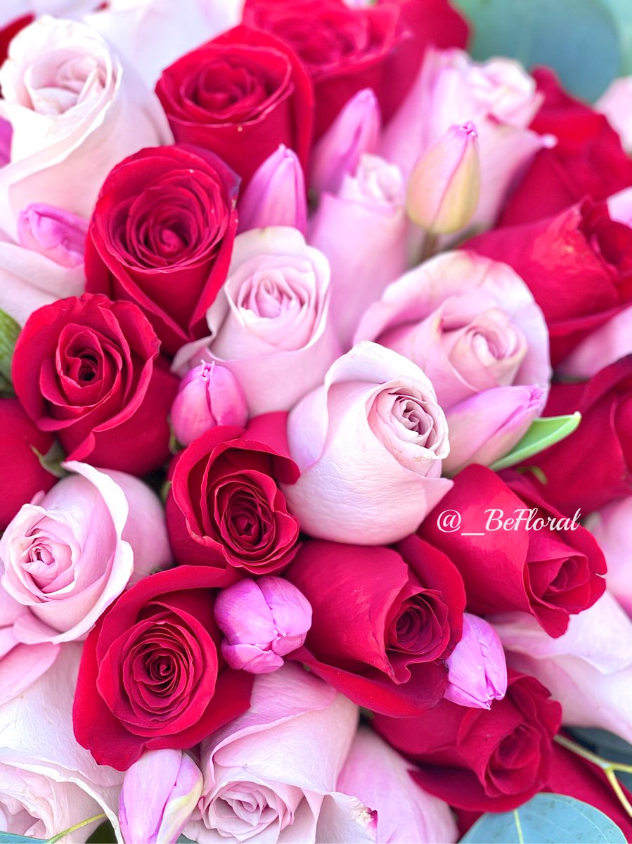 _BeFloral's tweet photo. Quien no se enamora con un ramo así 😍🌷🤍 #BeFloral #Florist https://t.co/eYoVPDYpBU