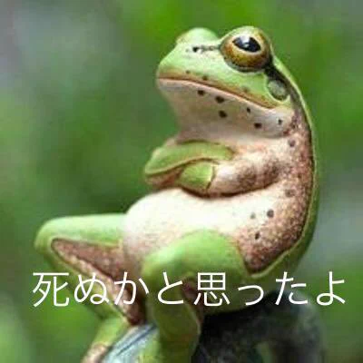 @HEISEI_love_bot 脱出後、武勇伝として語り継ぐ 