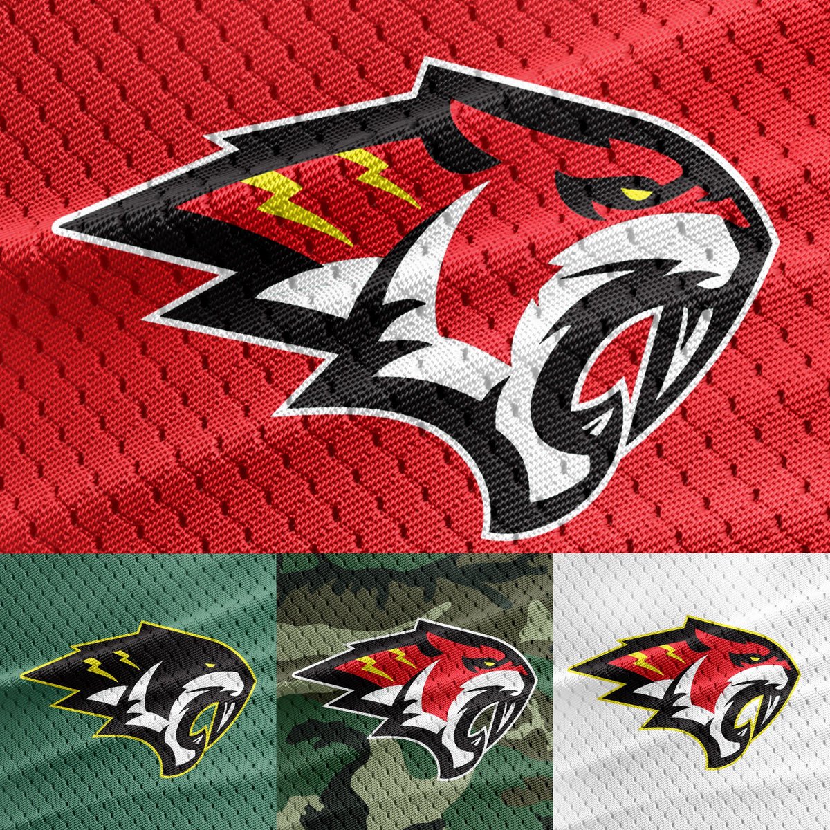 itchellmitchell's tweet image. Hellcats are here now and they look good as hell. This league is staking up. 

#mascot #mascotdesign #logo #LogoDesign #nhl #hockey