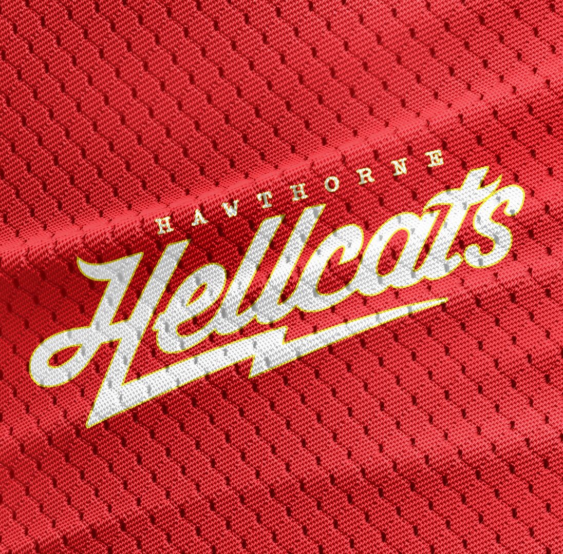 itchellmitchell's tweet image. Hellcats are here now and they look good as hell. This league is staking up. 

#mascot #mascotdesign #logo #LogoDesign #nhl #hockey