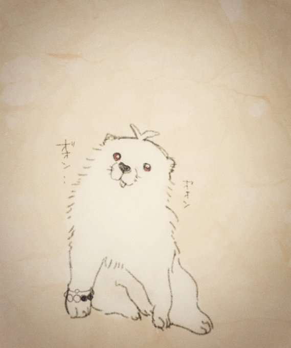 あの犬のパロ(?)サマ… 