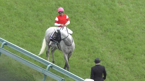 レースで完全に出遅れてしまう？気まずそうに調教師から目をそらすゴールドシップwww