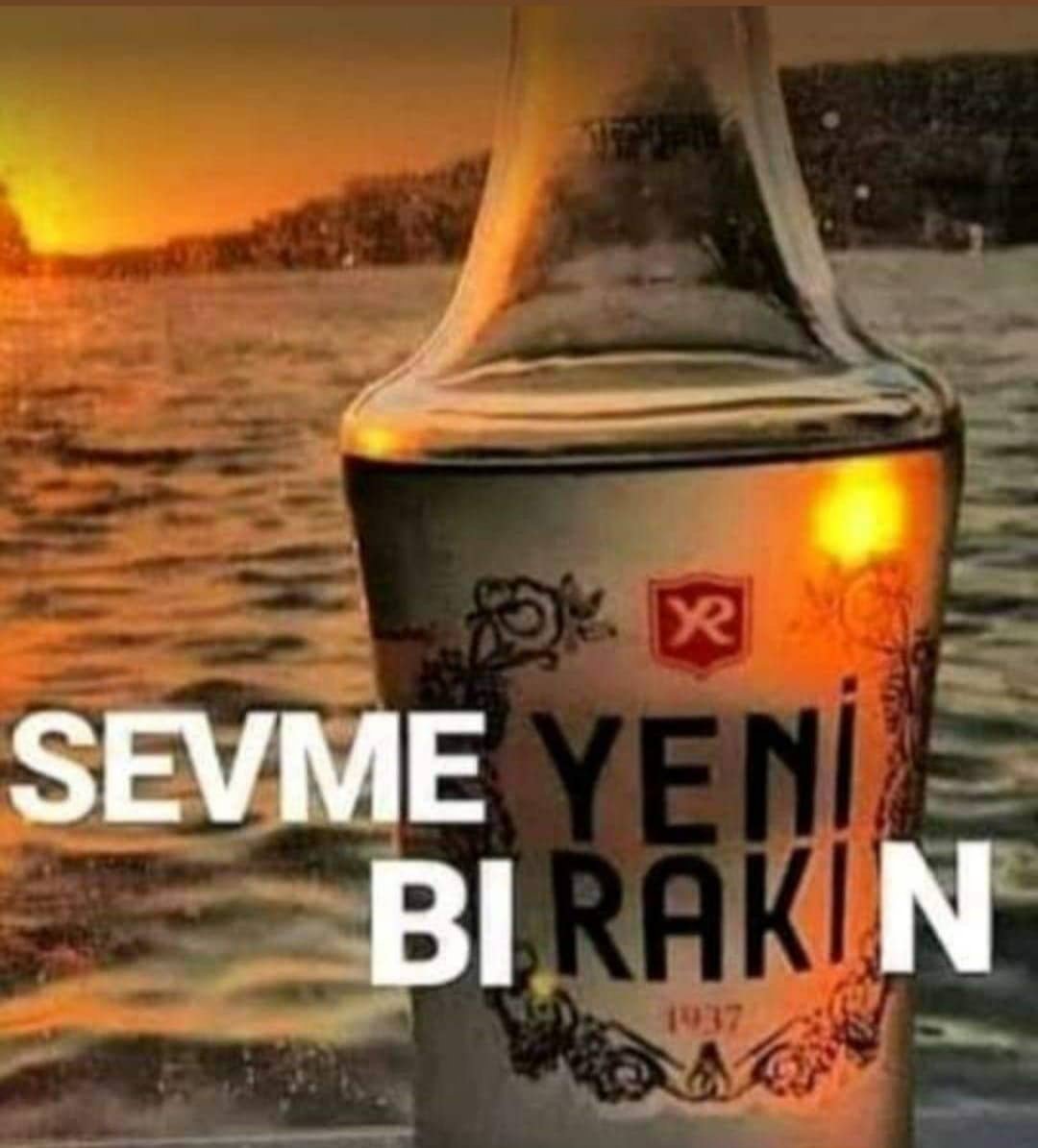 gitsin...