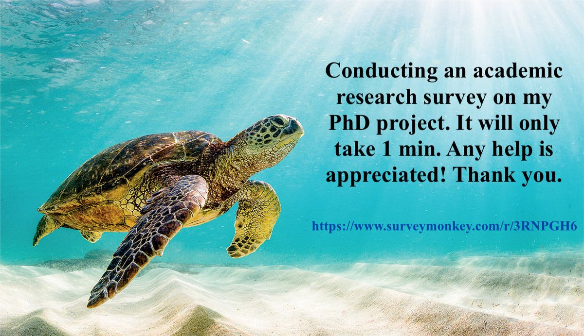 ManesCostanza's tweet photo. Link to survey: https://t.co/TydUhVwrtG
#seaturtle #conservation #research #Science 🐢 https://t.co/dSSpbgUvJn
