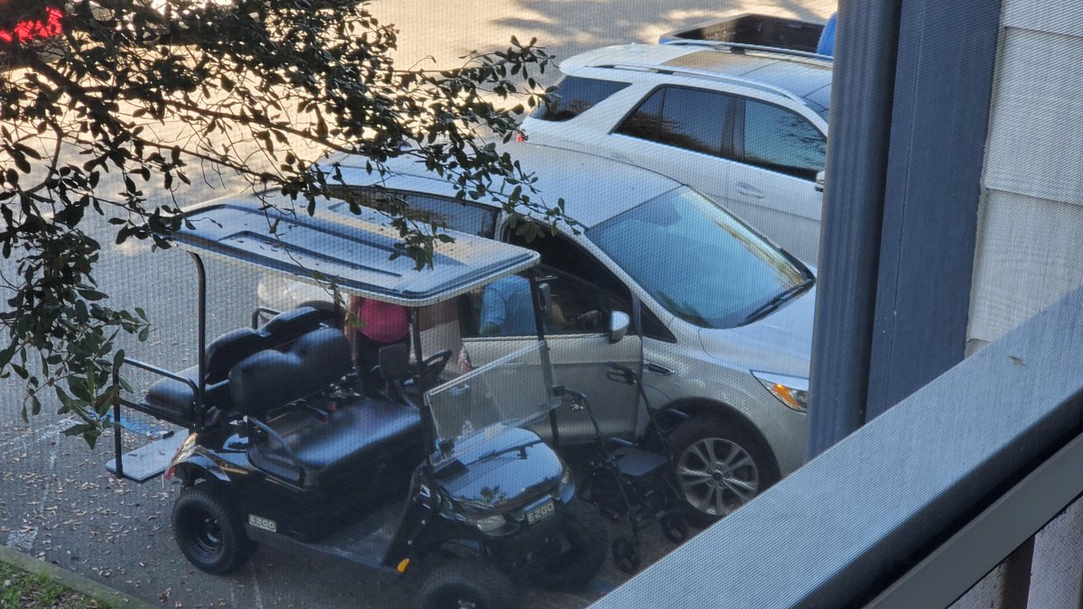 Mary F Spagnolo tweet media