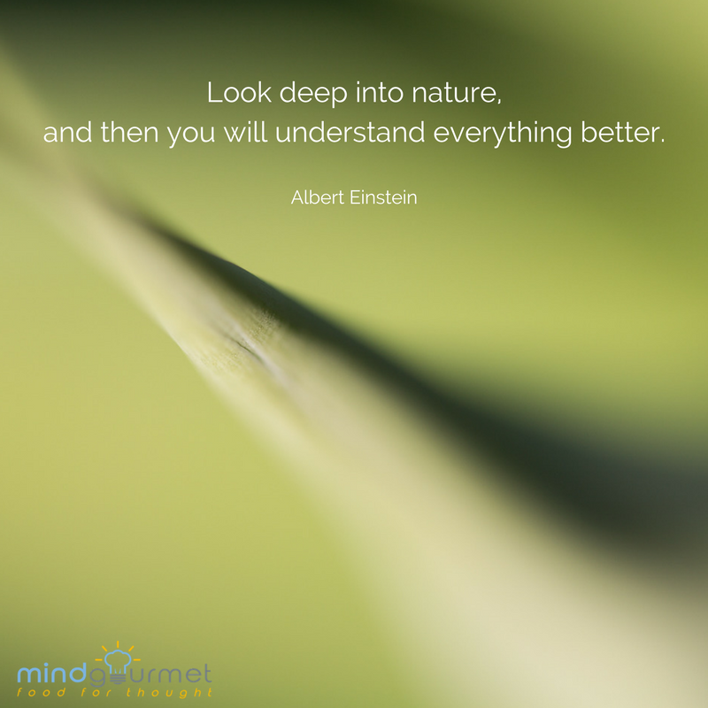 MindGourmet's tweet photo. Look deep into nature, and then you will understand everything better. - Albert Einstein
#AlbertEinstein #nature
https://t.co/f9SMpNfzSo https://t.co/FlQTPFTJ0E